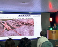 Com ações de fiscalização, certificação e educação sanitária, Adapar contribui com a 52ª ExpoIngá