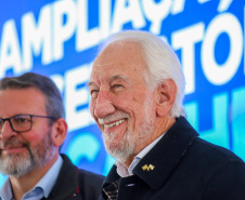 VICE GOVERNADOR SANEPAR