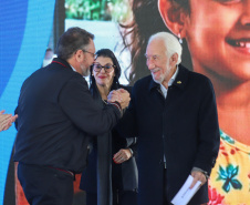 VICE GOVERNADOR SANEPAR