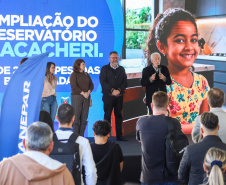 VICE GOVERNADOR SANEPAR