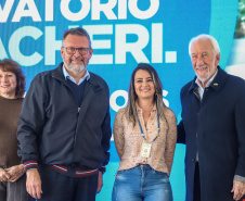 VICE GOVERNADOR SANEPAR