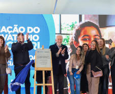 VICE GOVERNADOR SANEPAR