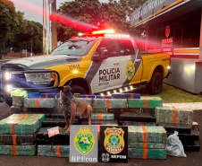 PMPR e forças integradas apreendem quase três toneladas de drogas em operações no Oeste do Estado