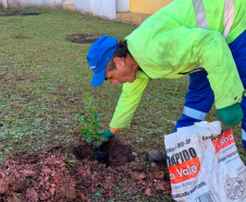 Hospital Infantil de Campo Largo ganha floresta terapêutica para auxiliar na recuperação de crianças