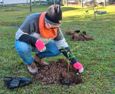 Hospital Infantil de Campo Largo ganha floresta terapêutica para auxiliar na recuperação de crianças
