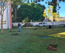 Hospital Infantil de Campo Largo ganha floresta terapêutica para auxiliar na recuperação de crianças