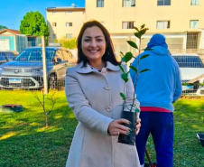 Hospital Infantil de Campo Largo ganha floresta terapêutica para auxiliar na recuperação de crianças
