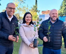 Hospital Infantil de Campo Largo ganha floresta terapêutica para auxiliar na recuperação de crianças