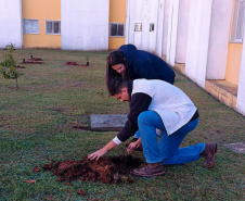 Hospital Infantil de Campo Largo ganha floresta terapêutica para auxiliar na recuperação de crianças