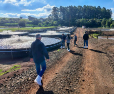 ADAPAR - Em cooperação com instituto norueguês, Adapar inicia projeto de biosseguridade na produção de tilápia