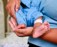 SESA - Com trabalho eficiente e estrutura organizada, Paraná segue como referência em doação e transplante de órgãos
