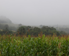 TEMPESTADES RETORNAM AO PARANÁ, COM VOLUMES DE CHUVA MAIS EXPRESSIVOS NA FAIXA CENTRAL