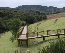PONTA GROSSA