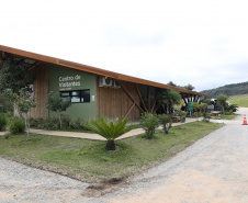 PONTA GROSSA