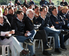 PONTA GROSSA TÍTULOS PROPRIEDADE RURAL
