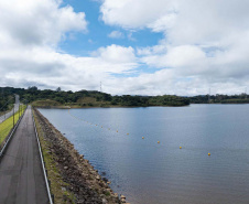 Sítios experimentais da Sanepar validam eficiência de tecnologias de sucessão ecológica para recuperação de áreas degradadas