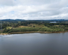 Sítios experimentais da Sanepar validam eficiência de tecnologias de sucessão ecológica para recuperação de áreas degradadas