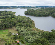 Sítios experimentais da Sanepar validam eficiência de tecnologias de sucessão ecológica para recuperação de áreas degradadas
