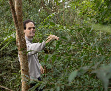 Sítios experimentais da Sanepar validam eficiência de tecnologias de sucessão ecológica para recuperação de áreas degradadas