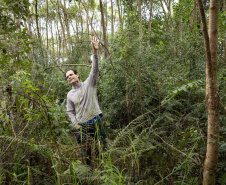Sítios experimentais da Sanepar validam eficiência de tecnologias de sucessão ecológica para recuperação de áreas degradadas