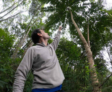 Sítios experimentais da Sanepar validam eficiência de tecnologias de sucessão ecológica para recuperação de áreas degradadas