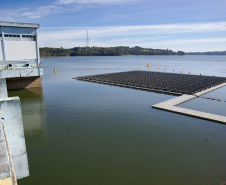 Sanepar e UFPR identificam peixe que atua como "filtro ecológico" e reduz emissão de gases do efeito estufa