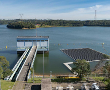 Sanepar e UFPR identificam peixe que atua como "filtro ecológico" e reduz emissão de gases do efeito estufa