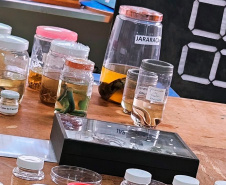 Universidades estaduais unem ensino e assistência especializada para fortalecer a toxicologia no Paraná