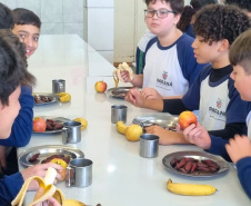 Pinhão ganha espaço nos cardápios estudantis da rede estadual