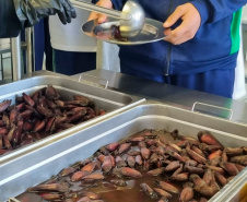 Em oito anos, Paraná investe R$ 2,8 bilhões e diversifica alimentação escolar com orgânicos, frutas nativas e tecnologia de conservação