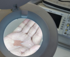 Startup incubada pelo Tecpar aposta em tecnologia que promete transformar produção farmacêutica no Brasil