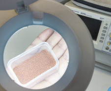 Startup incubada pelo Tecpar aposta em tecnologia que promete transformar produção farmacêutica no Brasil