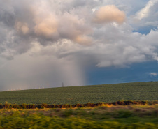 TEMPESTADES RETORNAM AO PARANÁ, COM VOLUMES DE CHUVA MAIS EXPRESSIVOS NA FAIXA CENTRAL
