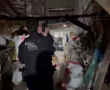  - PCPR mira grupo especializado em furtos no transporte coletivo de Curitiba