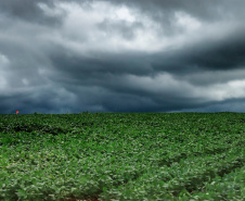 SIMEPAR Possibilidade tornado