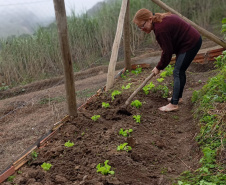 IAT - Hortas Comunitárias Campo Largo