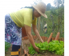 IAT - Hortas Comunitárias Campo Largo