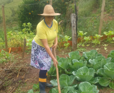IAT - Hortas Comunitárias Campo Largo