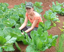 IAT - Hortas Comunitárias Campo Largo