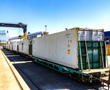 Portos do Paraná impulsiona exportação de frango e acelera transição energética no complexo