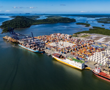 Portos do Paraná impulsiona exportação de frango e acelera transição energética no complexo