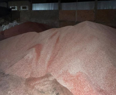 PCPR prende 7 pessoas e apreende maquinário para adulteração de fertilizantes em Ponta Grossa