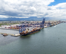 Porto de Paranaguá responde por quase 50% das exportações brasileiras de frango