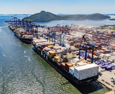 Porto de Paranaguá responde por quase 50% das exportações brasileiras de frango