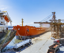Exportações crescem 28,8% em maio e impulsionam movimentação nos portos paranaenses