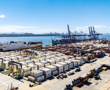 Porto de Paranaguá responde por quase 50% das exportações brasileiras de frango