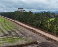 Ratinho Junior libera R$ 90,7 milhões para pavimentação de estrada turística e outras obras em Tijucas do Sul