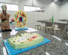 Com investimento de R$ 3,5 milhões, colégio do campo de Quitandinha ganha refeitório, laboratório e quadra coberta
