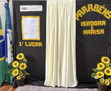 Entre 16 mil redações, estudante de Siqueira Campos é escolhida para o Jovem Senador 2026