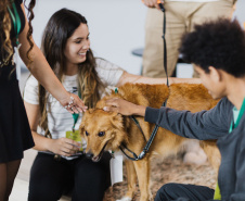 Estudantes da rede estadual transformam adoção animal em campanhas de impacto e conquistam prêmio nacional de criatividade